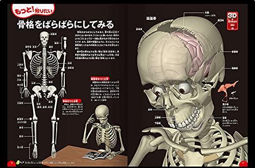 [DVD Included] Human Body (Gakken's Illustrated Book LIVE) Illustrated Book for Ages 3 To Elementary School Students