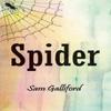 Spider by Sam Galliford Paperback Book 9781858587608