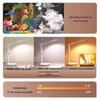 Xuanyong LED Eye-Protection Desk Lamp with Clock