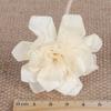 Handmade Fragrance For Home Tongcao Flower Dried Flowers Diffuser Sticks Aromatic Incense