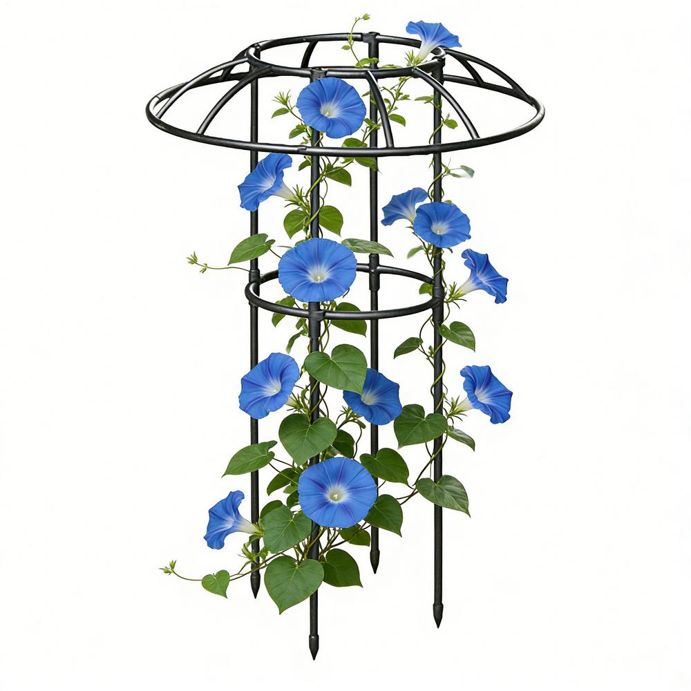 

Garden Trellis For Climbing Plants Rustproof Stable Vertical Climbing Vine Supports Umbrella Trellis Tower Frame For Vine Rose