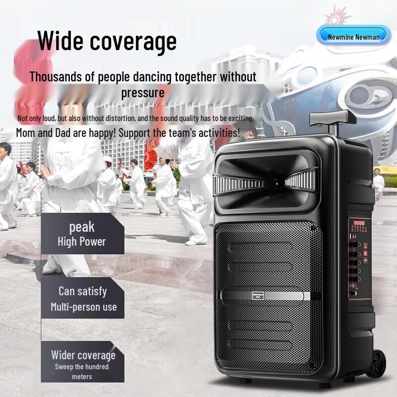 Newmine B12 12-inch Outdoor Bluetooth Trolley Speaker CN plug (adapter included)