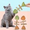 3 Stück Natürliches Fischspielzeug Silberrebe Knochenform Katzen Kaustangen und Katzenminze Spielzeug Katzenzahn