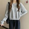 Korean Version of Small Man Long-sleeved Short T-shirt Women's Spring and Autumn New Design Sense Niche Top Versatile Sweater