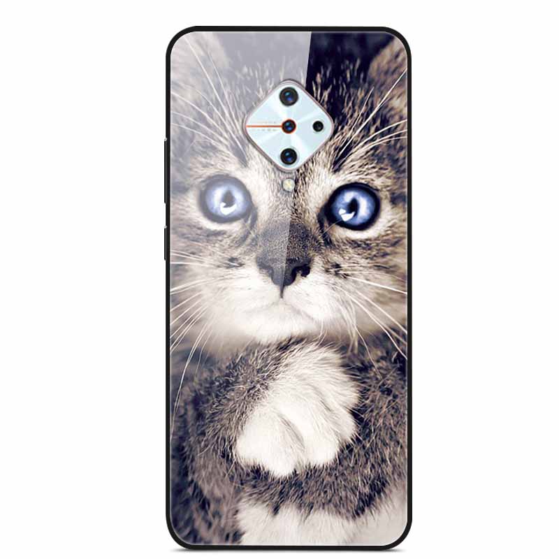 Tempered Glass Case For Vivo V17 Case Russia Glass Back Cover Soft Bumper For Vivo V17 Phone Cases V 17 Funda Y9s S1 Pro Coque