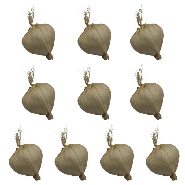 

Foam Faux Garlic Replicas Pack of 10 Bright Color Party Decors Accent Safe for Children Pet Friendly Household Accessories