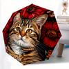 1pc Cat Floral Print Automatic Open/close Folding Umbrella, Compact Portable Travel Umbrella,Durable Construction Yy250814175