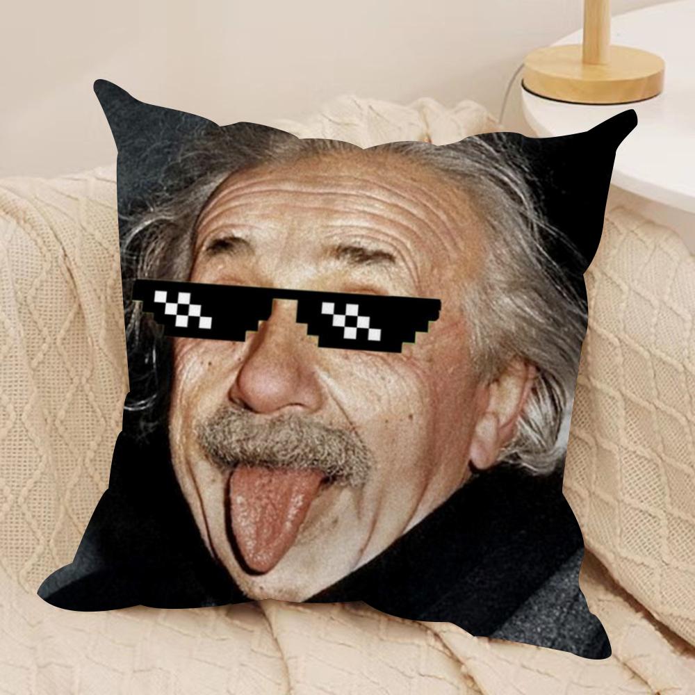 Physics EEINSTEINes Cushion Cover Soft Plush Fabric DoubleSided Printed Sofa Cushion Cover for All Seasons Home Decor Gift
