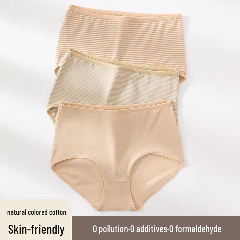 

Dingguagua Women s Cotton Mid-Waist Underwear 3-Pack 2XL
