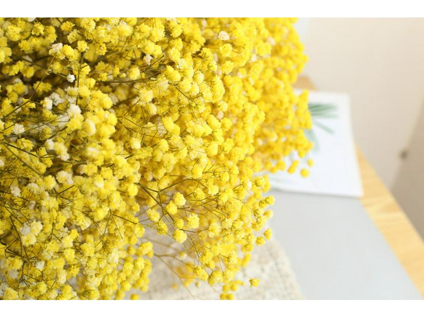 Eternal Gypsophila Bouquet: Color-Absorbing Ilocos Flowers for DIY Floral Arrangements and Wedding Decorations