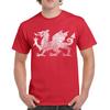 Welsh Dragon T-shirt Wales Home Nations T-shirts Birthday Gift WAL