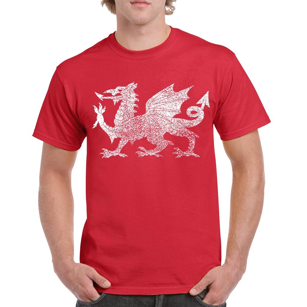 Welsh Dragon T-shirt Wales Home Nations T-shirts Birthday Gift WAL