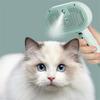 Pettine per capelli spray per animali domestici, spazzola per la pulizia, toelettatura per gatti, accessori per cani, strumenti, pettine per umidificatore a nebbia d'acqua, pettine per la rimozione dei nodi