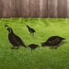 4x Bird Animal Statue Garden Decor Photographic Props Yard Stake Patio Iron Sculpture