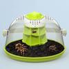 Insecte – Terarii pentru insecte