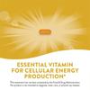 Enzymatische Therapie Nature's Way Riboflavin Vitamin B2 400mg 30 Tabletten