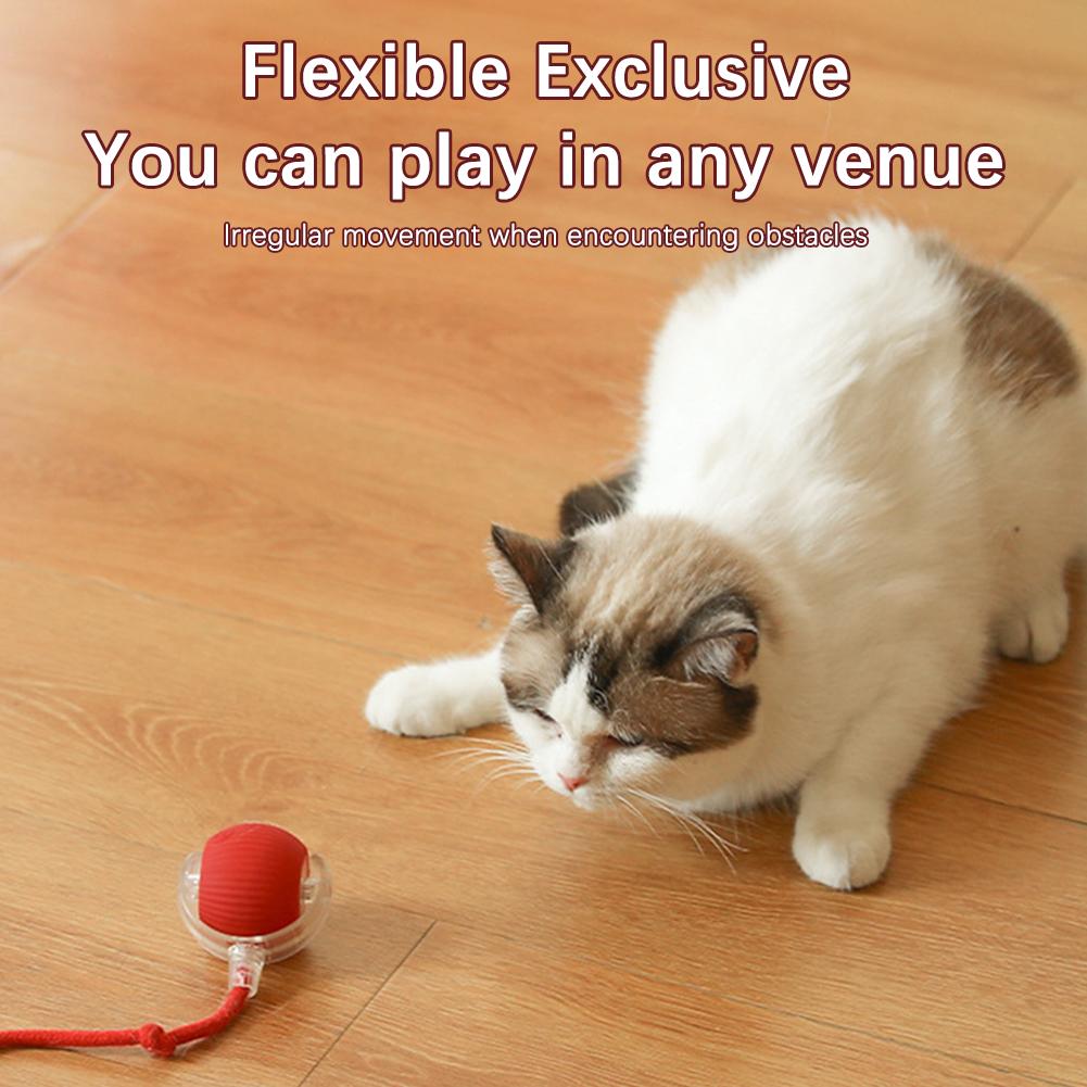 Interactive Cat Toy Ball Super Drive Cat Rolling Balls Motion Activated Sensor Pet Kitten Teaser Game Toys Pet Cat Accessories
