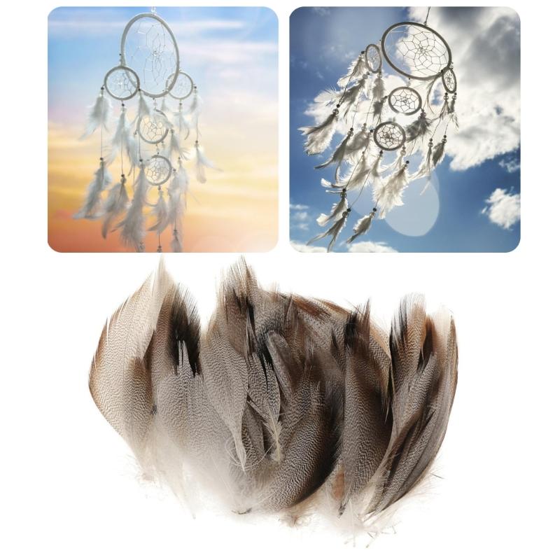 Pack of 50 Mallard Duck Wing 1.6-4.7Inch for Art Craft Wedding Halloween Decoration Cosplay Costume Accessories