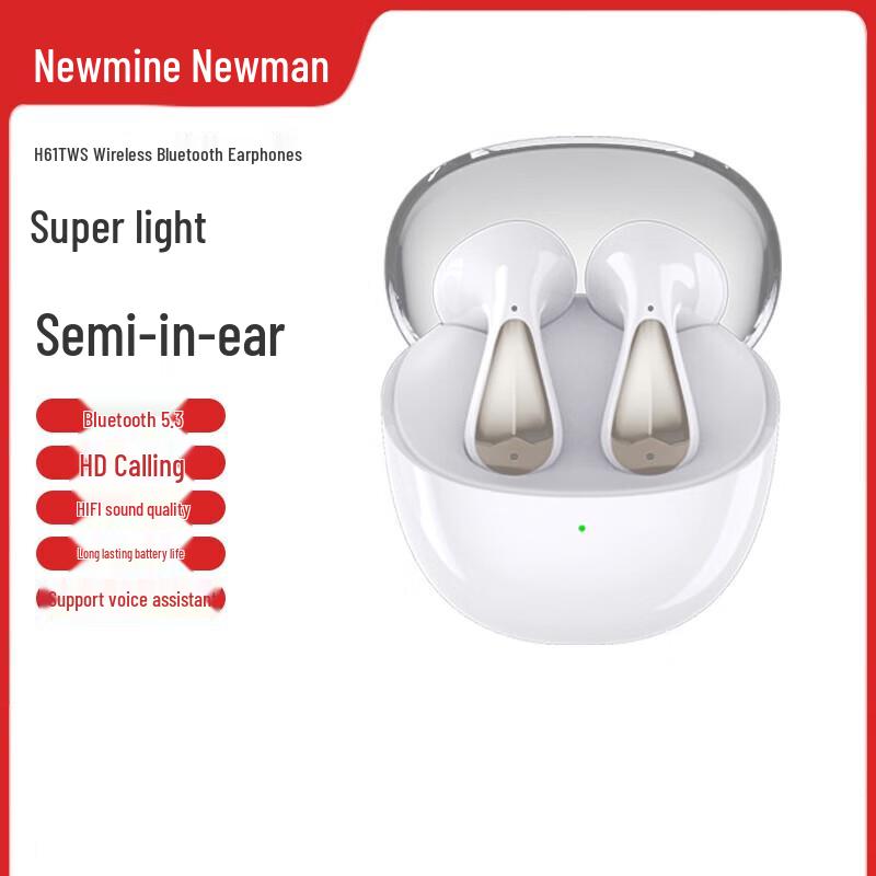 Newman H61 Wireless Bluetooth Earbuds