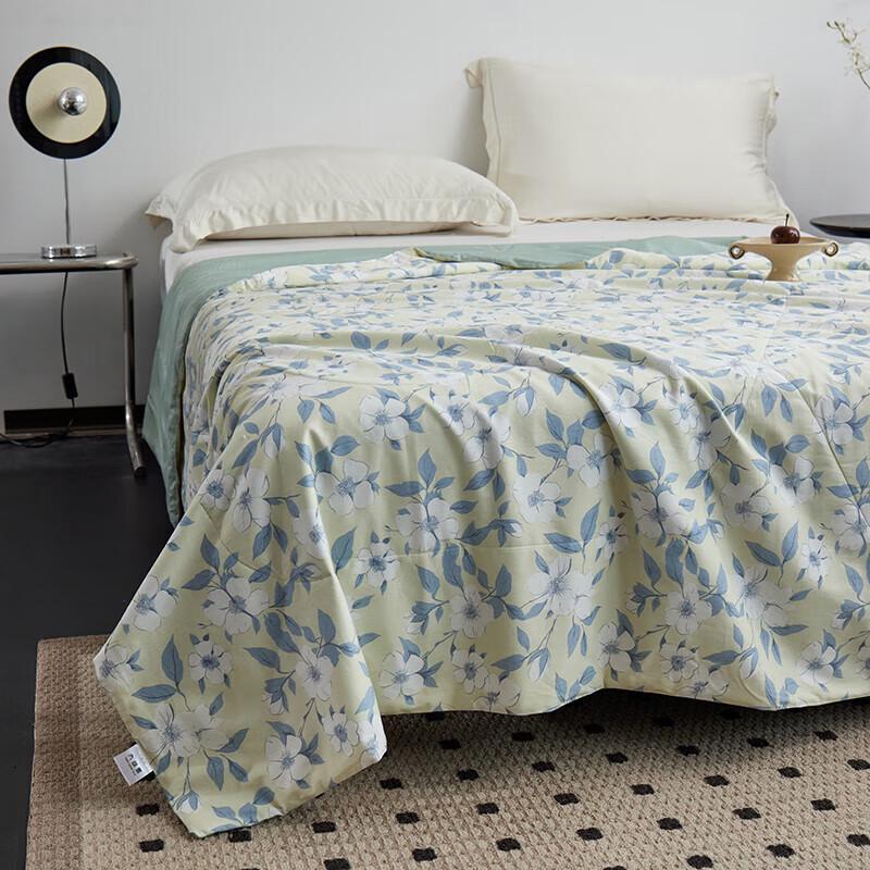

Taihu Snow Flower Love Summer Silk Quilt