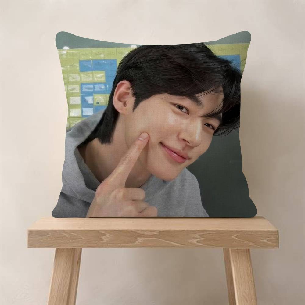 Korean Celebrity Byeon Wooseok   Cushion Cover Decorative Pillow Sofa Home Decor case pillow cases
