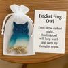 Pocket Hug Animal with Positive Card Emotional Support Resin Animal Token Dachshund Turtle Owl Cat Corgi Bulldog Statue Figurine Inspirational Gift