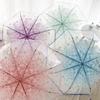 Funny Cherry Blossom Transparent Umbrella Windproof Manual Umbrella Folding Umbrella  Girl Gift