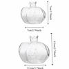 Unique Shape Transparent Pomegranate Glass Vase Red Decorative Hand-Blown Glass Vase Hydroponic Flower Vase Desktop Ornament