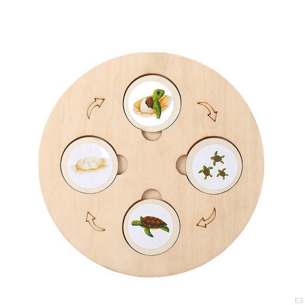 Life Cycle Model Set Early Education Wooden Jigsaw Puzzles Matching Game Growth Stage of and Animal