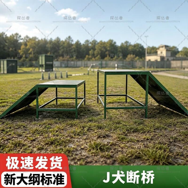 Professional Dog Agility Obstacle Training Equipment