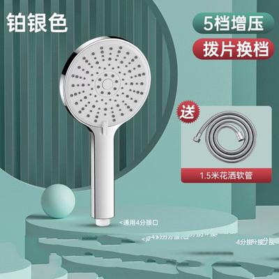 TLXT High-Pressure Shower Head with Hose