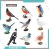 Cross-border Bird Model Ornament: Kingfisher, Magpie, Pigeon, Cuckoo, Barbet, Tit