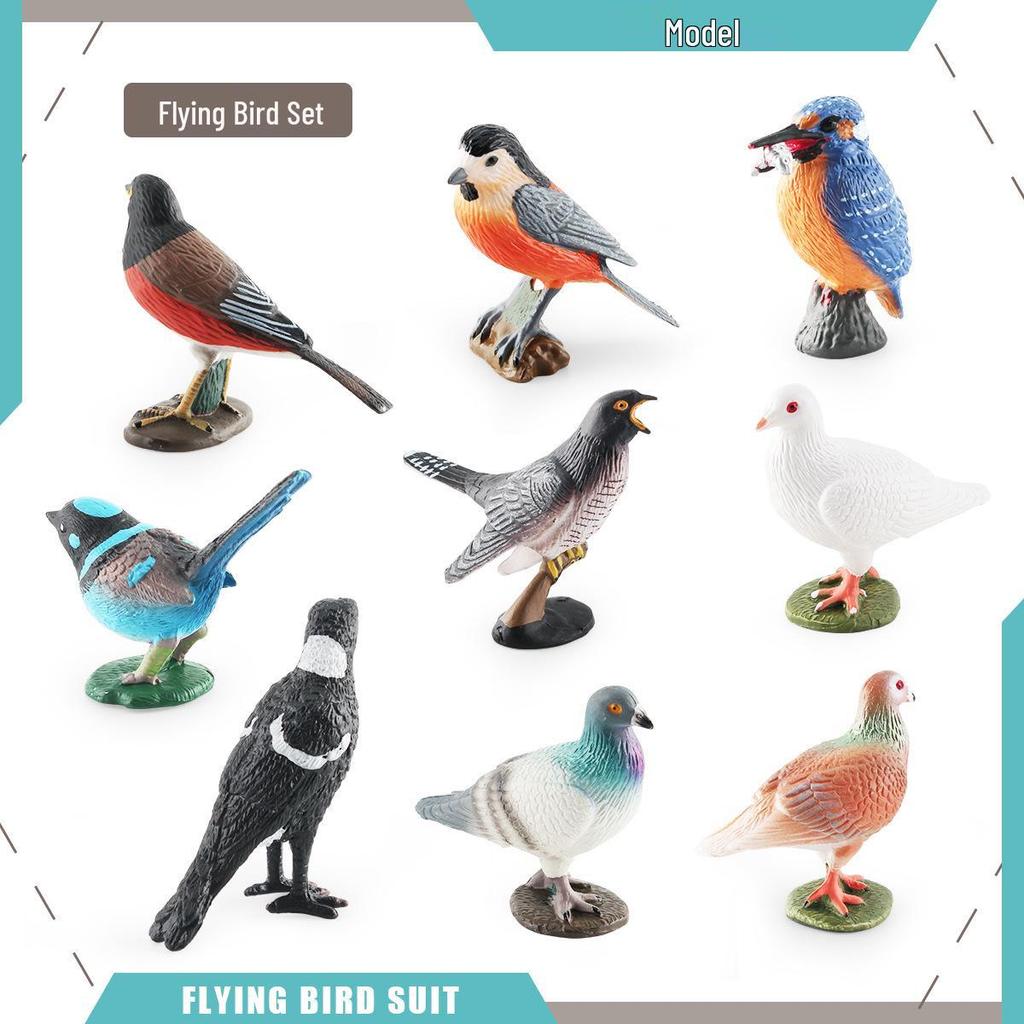 Cross-border Bird Model Ornament: Kingfisher, Magpie, Pigeon, Cuckoo, Barbet, Tit