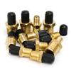 1/2pcs Professional 1/4 NPT 1/8 NPT M10 Car Tire Valve Core Air Compressor Tanks Fill Valve Anti-Corrosion Schrader Valves