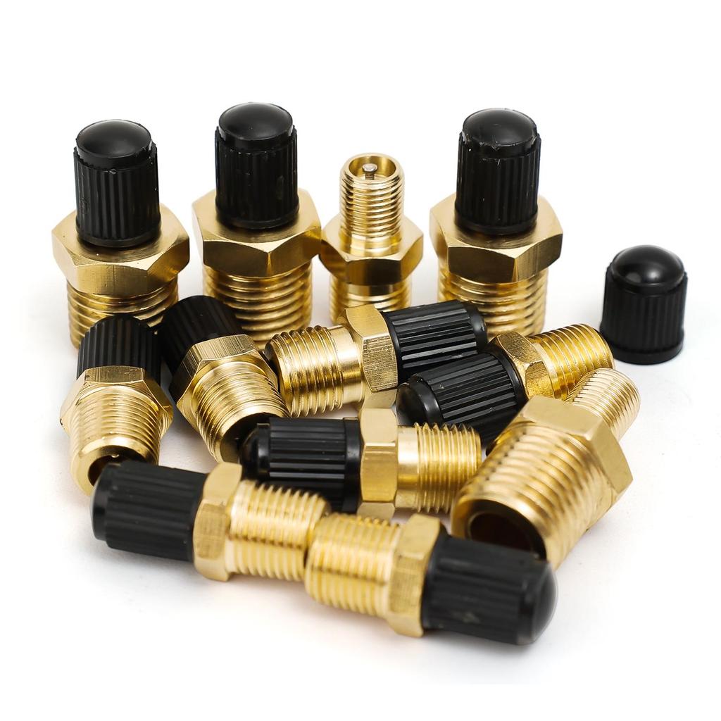 1/2pcs Professional 1/4 NPT 1/8 NPT M10 Car Tire Valve Core Air Compressor Tanks Fill Valve Anti-Corrosion Schrader Valves