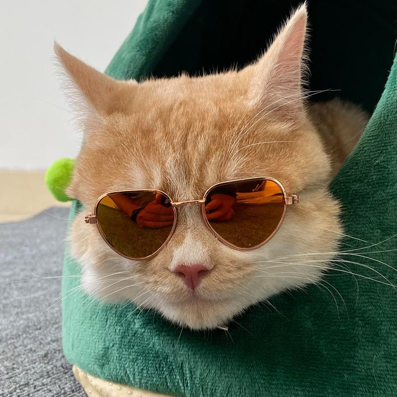 Non-Slip Cat & Small Dog Sunglasses Pet Accessories Puppy Kitty Cosplay Costume Cute Animal Eyewear Photo Props