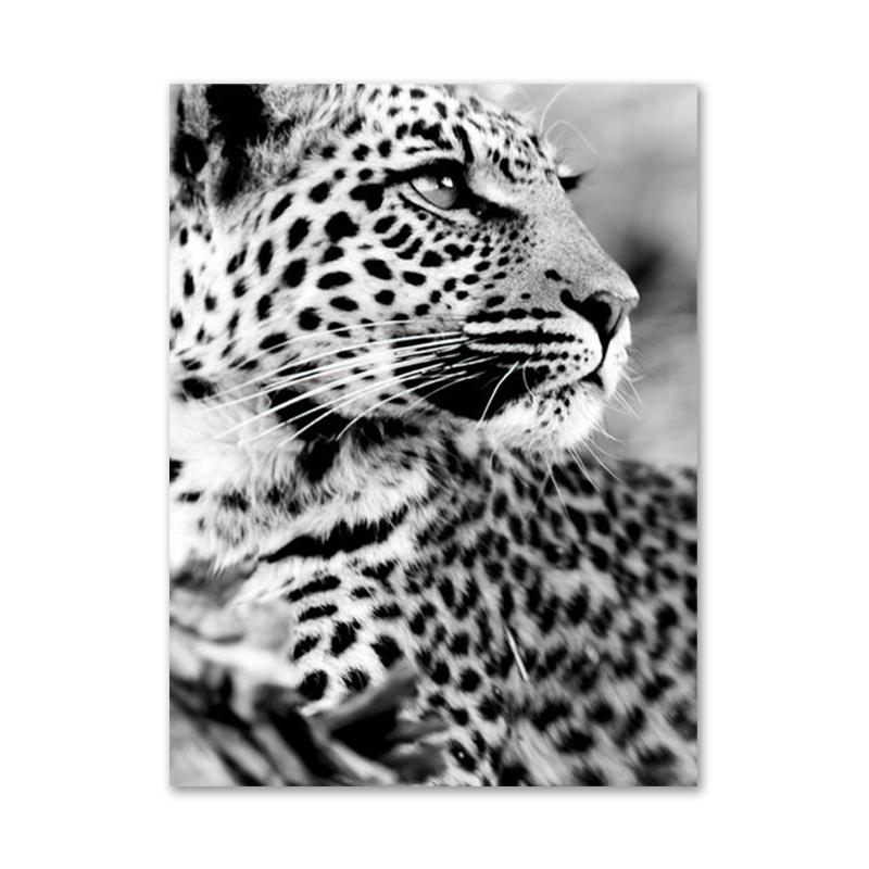 Nature Landscape Poster Plant Lion Animal Leaf Canvas Wall Art Plam Tree Starry Night Painting Decorative Home Picture Decor