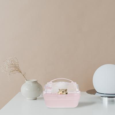 Hamster Travel Box Small Pet Container Abs House Outdoor Carrier Lightweight Portable Breathing Box Guinea Pig Hide