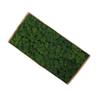 Preserved Moss Gardenning Art Wall Decor Moss Bulk Micro Landscape Decorative Props