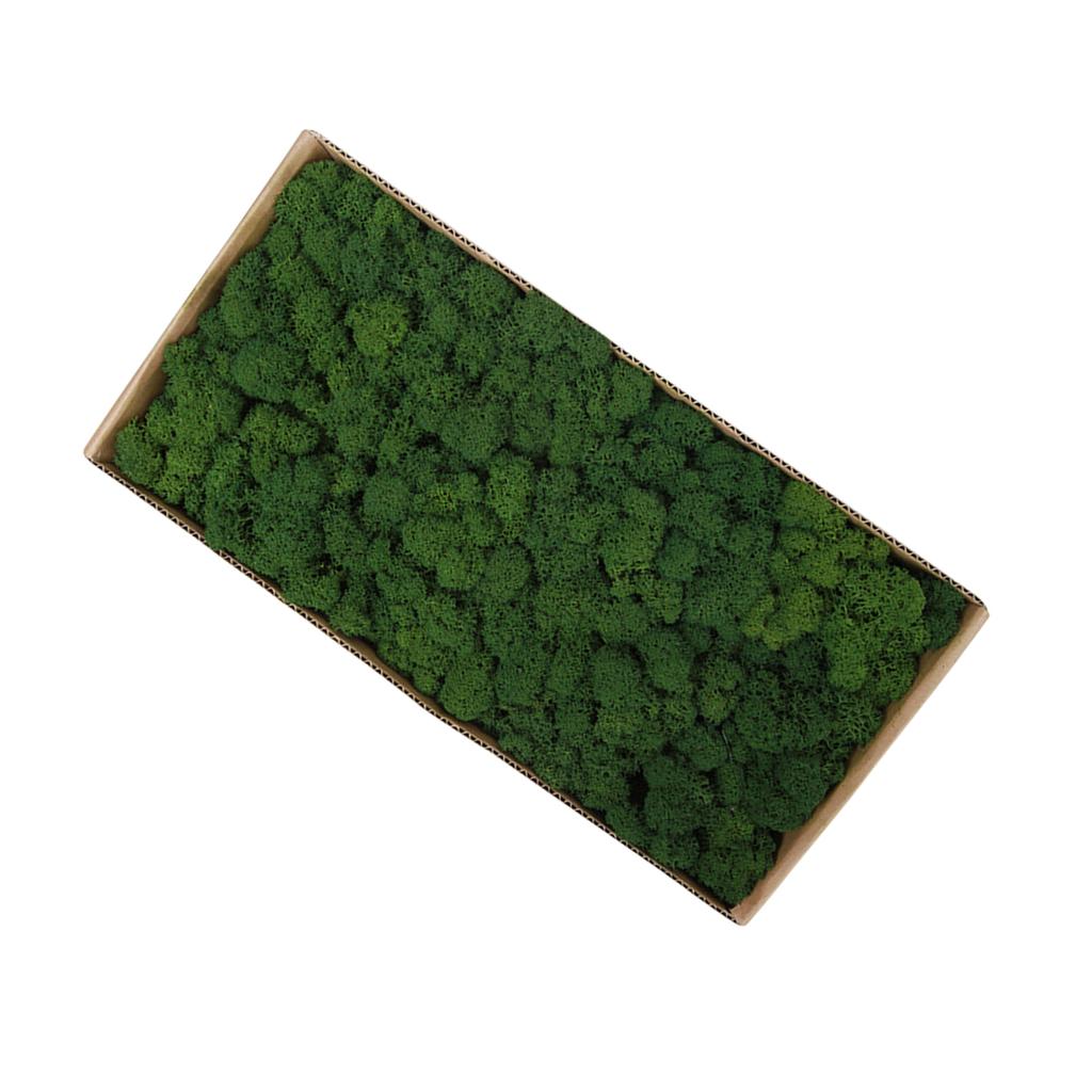 Preserved Moss Gardenning Art Wall Decor Moss Bulk Micro Landscape Decorative Props