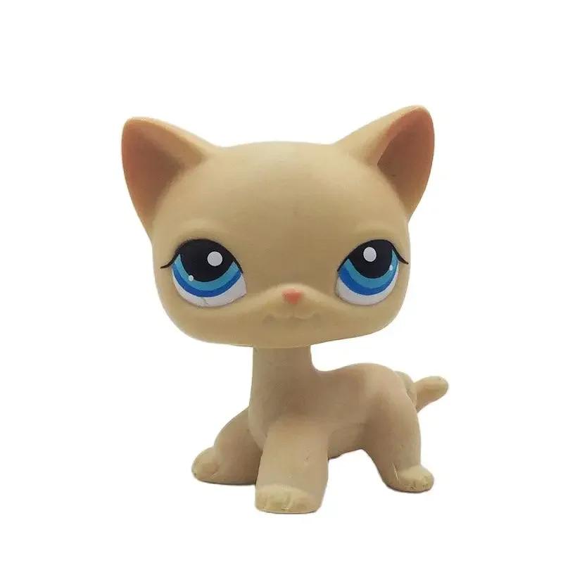 Rare Littlest Pet Shop Lps Toy Toy Mini Stands Short Hair Kitten Old Figures Collection Al Bobble Head Toy