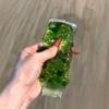 Zahnpastatube ASMR Fidget Stressball zum Quetschen Anti-Angst Sensorisches Spielzeug für Kinder Geburtstagsgeschenke