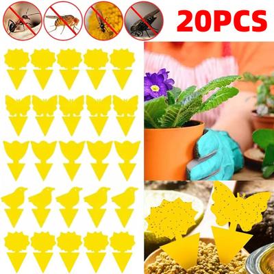 משק בית וארגון – נגד חרקים