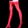 Sexy Horse Oil High Elastic Stockings Lace Non-Slip Stockings Lady Shiny Long Socks