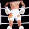 Mma dövüş şortu kaplan başı muay thai pantolonu dövüş sanatları sanda dövüş hafif nefes alabilen boks spor salonu eklenebilir