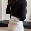 Trendy Fashionable Single Shoulder Crossbody Bag Stylish Chic Summer 2024 Small Square Purse