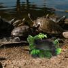 Reptile Feeding Dish Resin Wear-Resistant Natural Water Dish Safety Use Terrarium Decorative Reptile Snack Accessory