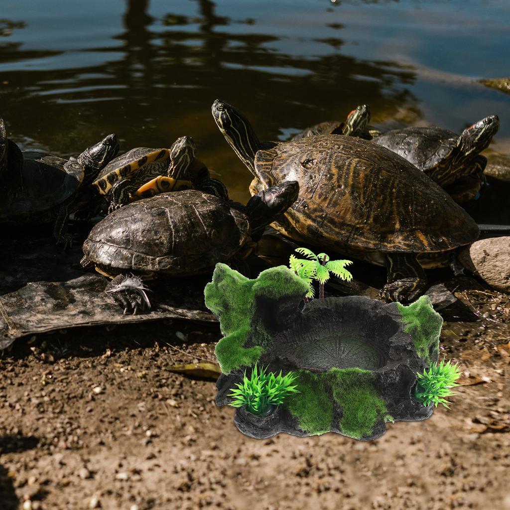 Reptile Feeding Dish Resin Wear-Resistant Natural Water Dish Safety Use Terrarium Decorative Reptile Snack Accessory