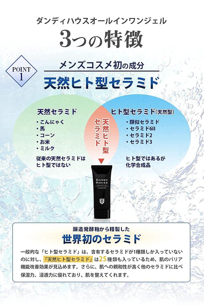 Dandy House Gel Skin Care 1 Bottle Bottle 50g 60 All-in-One Men's [1 (approx. Days' Worth)]