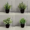 Frosted Eucalyptus Mini Artificial Potted Plant for Home Decoration